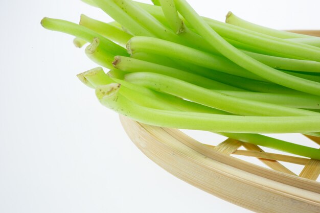 Still life of fresh cabbage