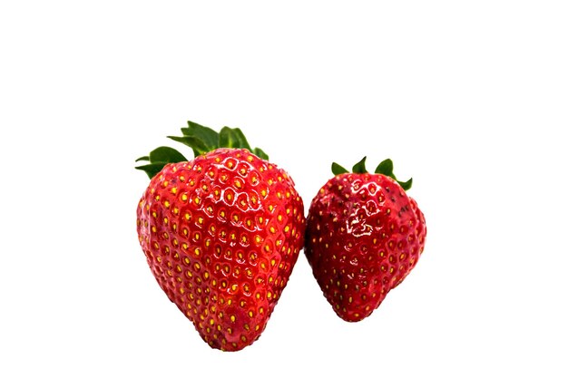 딸기의 빨간색을 강조 표시 하기 위해 흰색 배경에 신선한 딸기의 정물화.