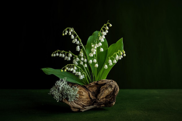 A still life of lily of the valley flowers