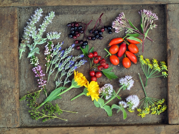 Photo still life of medicinal herbs and fruits on a wooden table