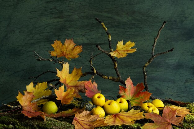still life phyto design flower arrangement ikebana wildflowers chinese quince fruits colored maple leaves golden quince fruits