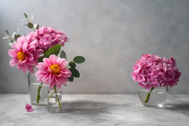 Still life pink flowers scene Pink hydrangea flowers and dahlias in glass vase on neutral background soft selective focus