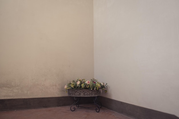 壁に立つ静物の鉢の植物
