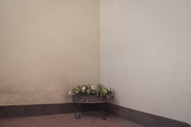 Still life potted plant against wall