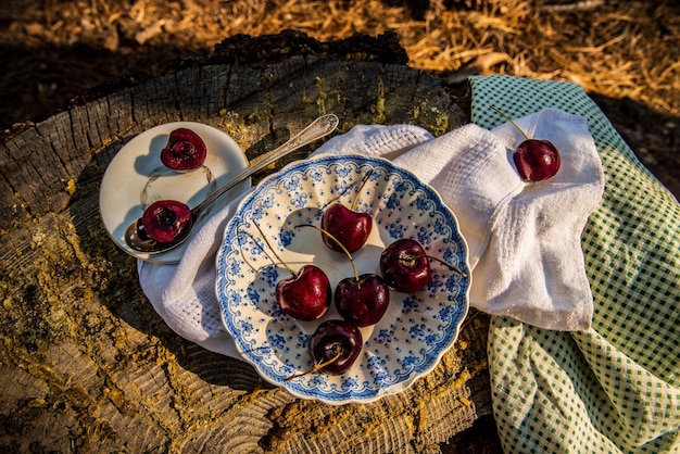 Foto natura morta di ciliegie rosse mature in ciotola blu e bianca con cucchiaio d'argento sul tronco dell'albero