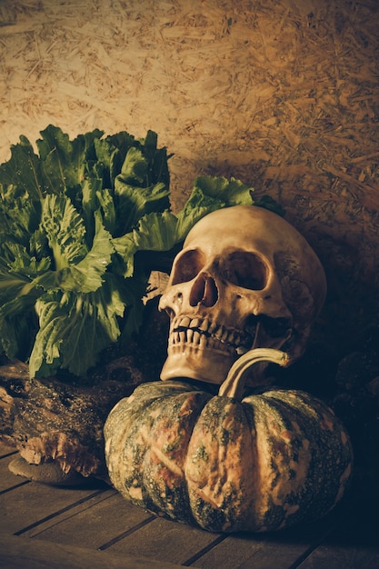 Still Life Skull and pumpkin on the timber.