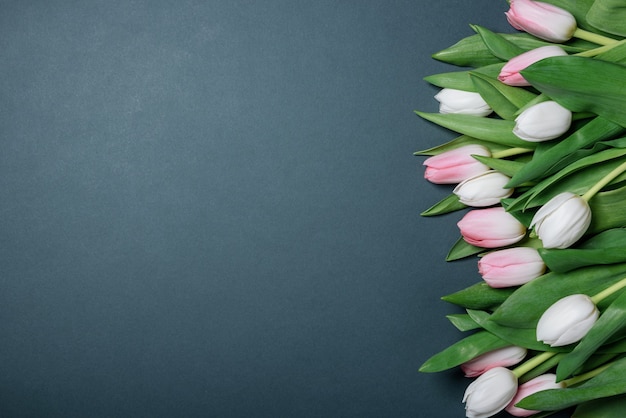 Still life spring gentle white and pink tulips