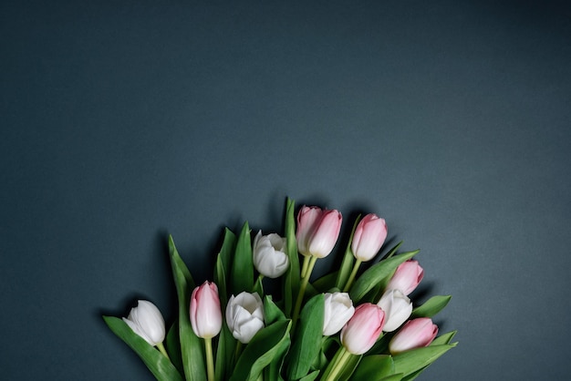 Still life spring gentle white and pink tulips