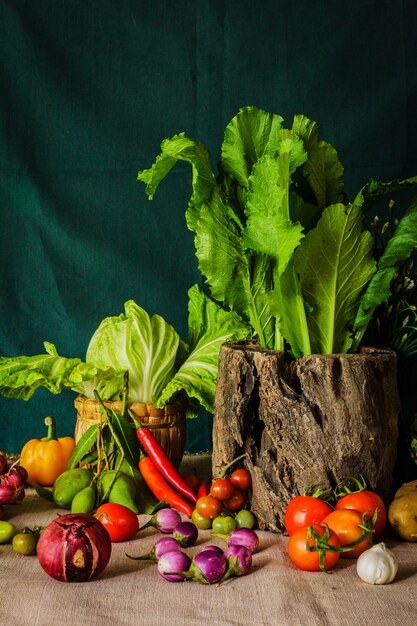 静物野菜、ハーブ、果物