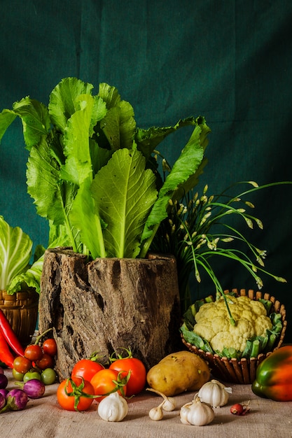 Still life  Vegetables, Herbs and Fruits.