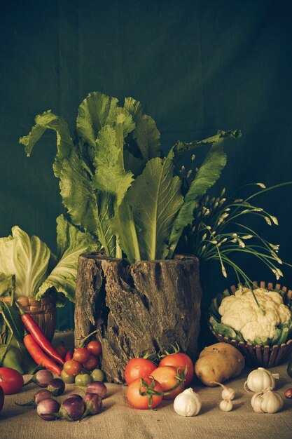 Still life  Vegetables, Herbs and Fruits.