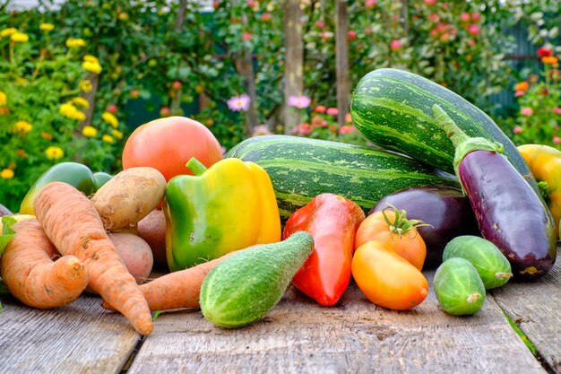 Still life of vegetables