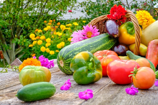 野菜の静物