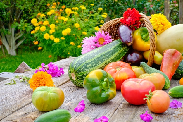 Photo still life of vegetables