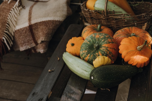 Фото Натюрморт с разнообразными тыквами и сезонными овощами и фруктами осенний сезон