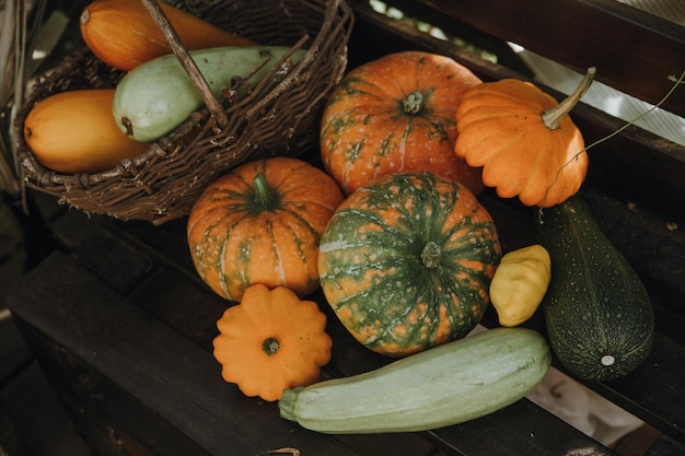 Фото Натюрморт с разнообразными тыквами и сезонными овощами и фруктами осенний сезон