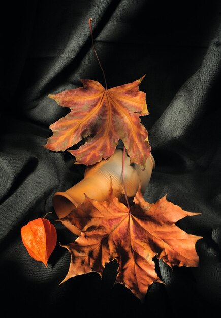 Photo still life with autumn leaves and phisalis