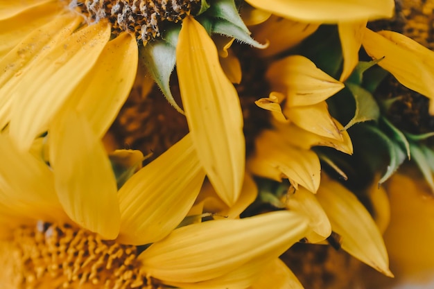 still life with bouquet of sunflower