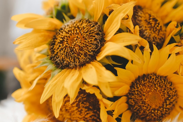 still life with bouquet of sunflower