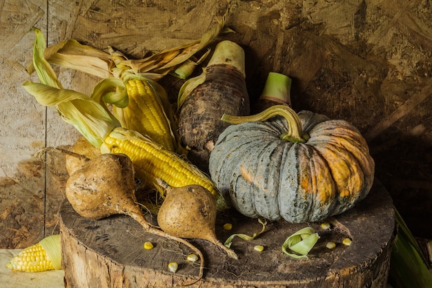 Still life with corn, pumpkin, taro and yam