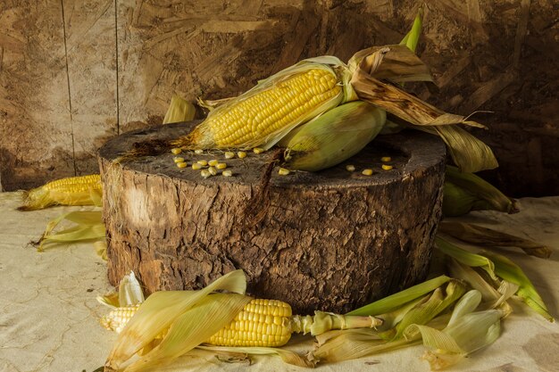 Still life with corn