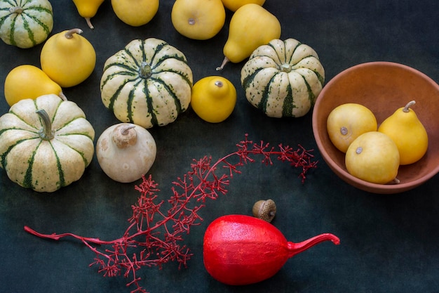 Still life with decorative pumpkins, a branch, an acorn and a painted red pumpkin