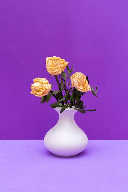 Still life with dried rose in a white vase on a violet background