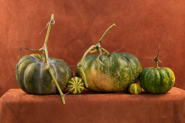 Still life with five different pumpkins on a brown wall