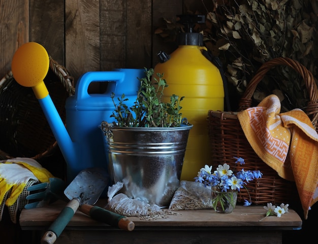 Natura morta con attrezzi da giardino e fiori primaverili.