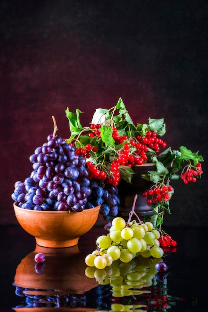 Still life with grapes and a branch of red viburnum