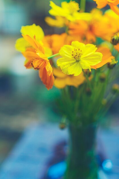 秋の花とバラとフルーツの巨大な束の静物