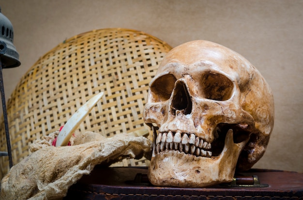 Still life with human skull and lantern