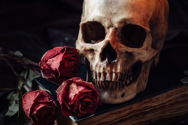 人間の頭蓋骨、赤いバラ、古い本のある静物