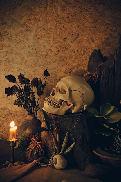 Still life with a human skull 