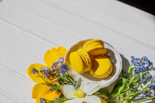 still life with macaron biscuits and flowers.lemon dessert isolated.Copy space.french chocolate desert on white wooden table.Tasty dessert flat lay and daffodils and forget-me-not flowers.