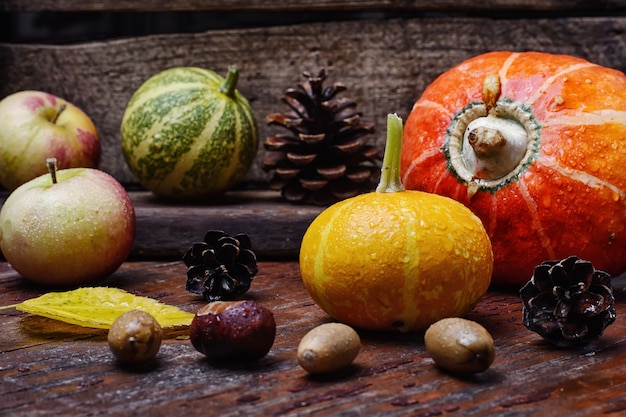 Still life with mini pumpkins