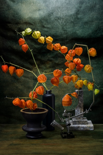 Photo still life with physalis branches