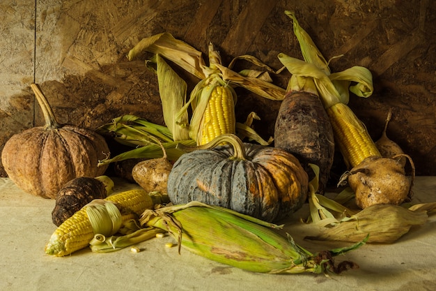 Still life with pumpkin, corn, taro, yam. 