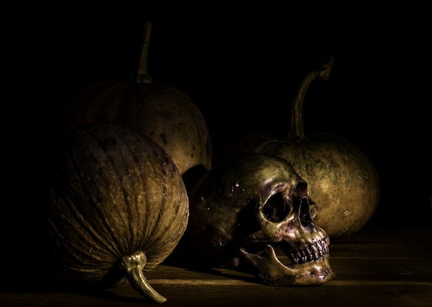 Still Life with Pumpkin and Skull