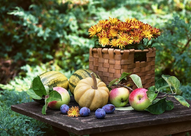 Foto natura morta con zucche, fiori, mele e prugne appena raccolte su un tavolo da giardino in legno