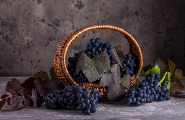 Still life with red grapes in basket.