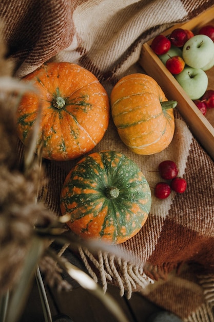 Foto natura morta con una varietà di zucche e frutta e verdura di stagione stagione autunnale