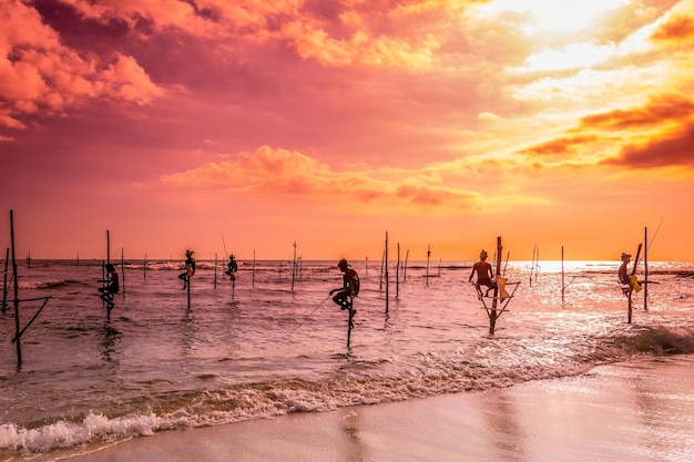 Still vissen ook wel tiltvissen genoemd in het zuiden van Sri Lanka