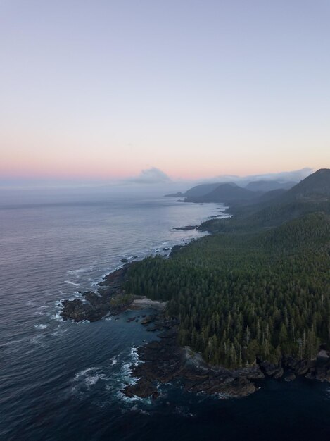 Stille Oceaan Kust Canadese Natuur Achtergrond Luchtfoto