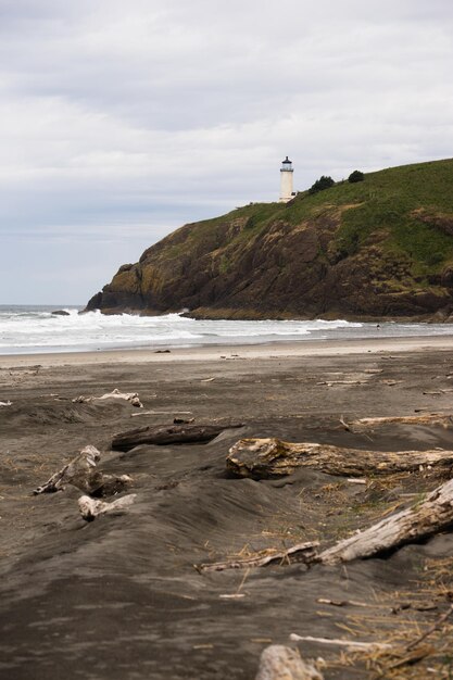 Stille Oceaan Westkust Strand Drijfhout North Head Vuurtoren