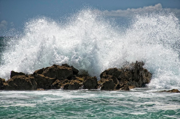 Stille oceaangolven aan de kust