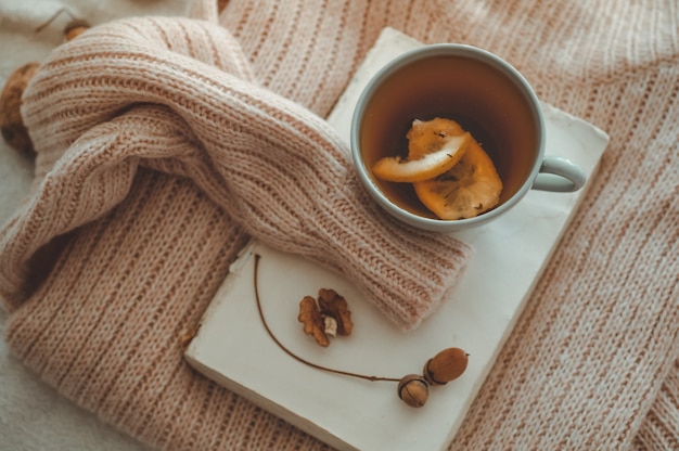 Stilleven details in interieur van woonkamer. Truien en kopje thee met kegel, nootjes en herfstdecor in de boeken. Lees, rust. Gezellig herfst- of winterconcept.