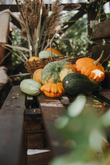 Stilleven met een verscheidenheid aan pompoenen en seizoensgroenten en fruit Herfstseizoen