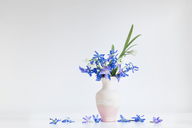 Stilleven met lente blauwe bloemen