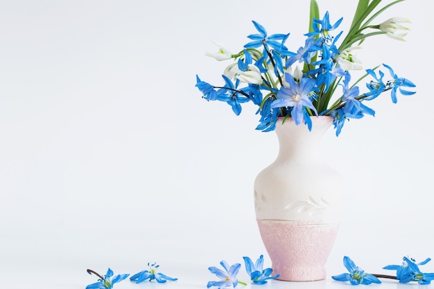 Stilleven met lente blauwe bloemen